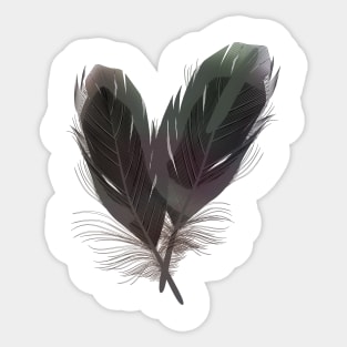 realistic heart feather black and white Sticker